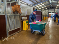 AK181121-118 - Feed time with Stuart Messenger